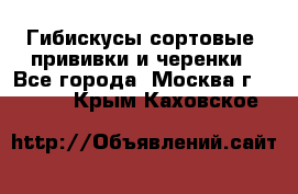 Гибискусы сортовые, прививки и черенки - Все города, Москва г.  »    . Крым,Каховское